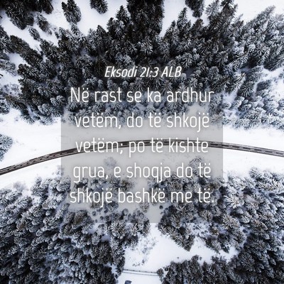 Picture 04 - Eksodi 21:3 ALB - Në rast se ka ardhur vetëm, do të shkojë - Bible Verse Picture