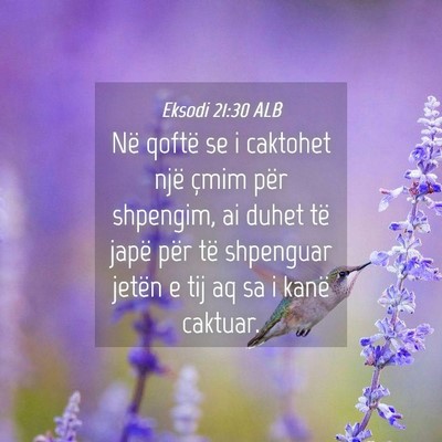 Picture 04 - Eksodi 21:30 ALB - Në qoftë se i caktohet një çmim për - Bible Verse Picture