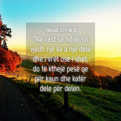 Picture 04 - Eksodi 22:1 ALB - 