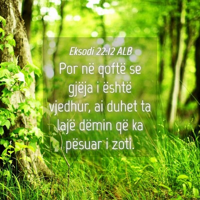 Picture 04 - Eksodi 22:12 ALB - Por në qoftë se gjëja i është vjedhur, ai - Bible Verse Picture