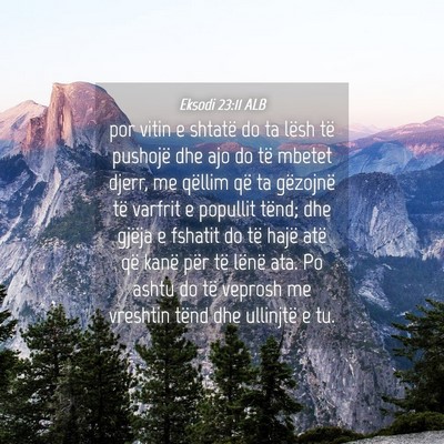 Picture 04 - Eksodi 23:11 ALB - por vitin e shtatë do ta lësh të pushojë dhe - Bible Verse Picture