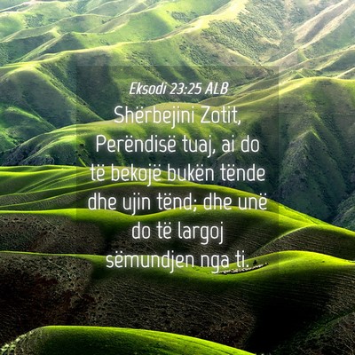 Picture 04 - Eksodi 23:25 ALB - Shërbejini Zotit, Perëndisë tuaj, ai do të - Bible Verse Picture