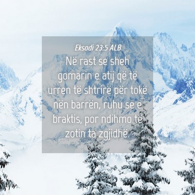 Picture 04 - Eksodi 23:5 ALB - Në rast se sheh gomarin e atij që të urren të - Bible Verse Picture