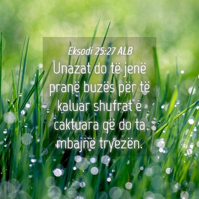 Picture 04 - Eksodi 25:27 ALB - Unazat do të jenë pranë buzës për të kaluar - Bible Verse Picture