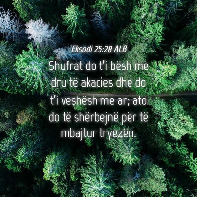 Picture 04 - Eksodi 25:28 ALB - Shufrat do t’i bësh me dru të akacies dhe do - Bible Verse Picture