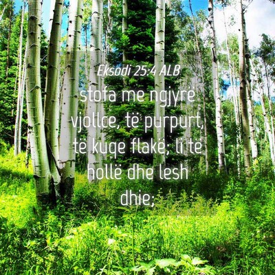 Picture 04 - Eksodi 25:4 ALB - stofa me ngjyrë vjollce, të purpurt, të kuqe - Bible Verse Picture