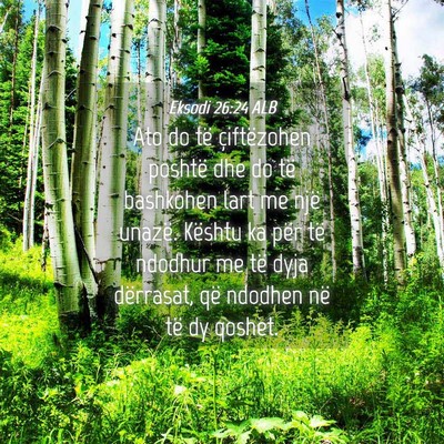 Picture 04 - Eksodi 26:24 ALB - Ato do të çiftëzohen poshtë dhe do të - Bible Verse Picture