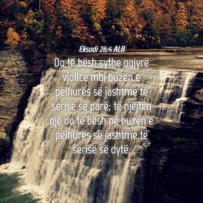Picture 04 - Eksodi 26:4 ALB - Do të bësh sythe ngjyrë vjollce mbi buzën e - Bible Verse Picture