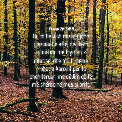 Picture 04 - Eksodi 28:3 ALB - Do të flasësh me të gjithë personat e aftë, - Bible Verse Picture