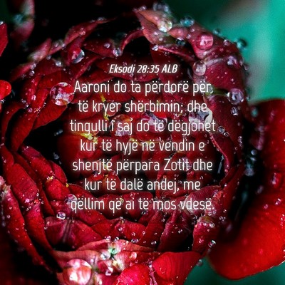 Picture 04 - Eksodi 28:35 ALB - Aaroni do ta përdorë për të kryer shërbimin; - Bible Verse Picture