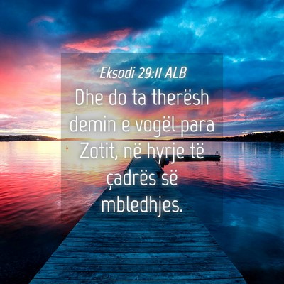Picture 04 - Eksodi 29:11 ALB - Dhe do ta therësh demin e vogël para Zotit, në - Bible Verse Picture
