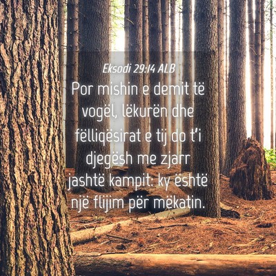 Picture 04 - Eksodi 29:14 ALB - Por mishin e demit të vogël, lëkurën dhe - Bible Verse Picture