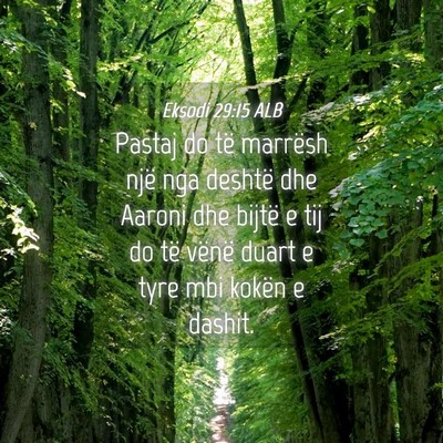 Picture 04 - Eksodi 29:15 ALB - Pastaj do të marrësh një nga deshtë dhe - Bible Verse Picture