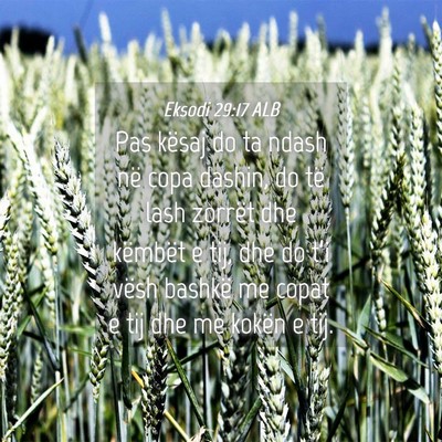 Picture 04 - Eksodi 29:17 ALB - Pas kësaj do ta ndash në copa dashin, do të - Bible Verse Picture