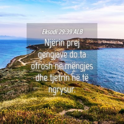 Picture 04 - Eksodi 29:39 ALB - Njërin prej qengjave do ta ofrosh në mëngjes - Bible Verse Picture