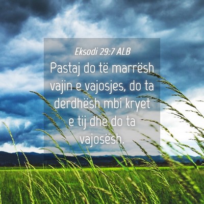 Picture 04 - Eksodi 29:7 ALB - Pastaj do të marrësh vajin e vajosjes, do ta - Bible Verse Picture