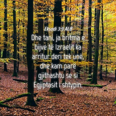 Picture 04 - Eksodi 3:9 ALB - Dhe tani, ja britma e bijve të Izraelit ka - Bible Verse Picture