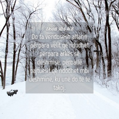 Picture 04 - Eksodi 30:6 ALB - Do ta vendosësh altarin përpara velit që - Bible Verse Picture