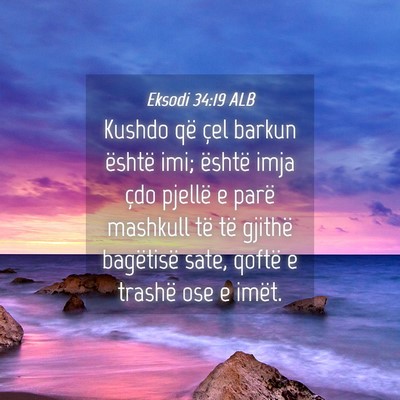Picture 04 - Eksodi 34:19 ALB - Kushdo që çel barkun është imi; është imja - Bible Verse Picture