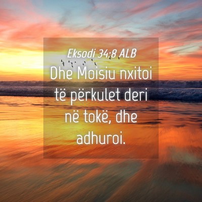 Picture 04 - Eksodi 34:8 ALB - Dhe Moisiu nxitoi të përkulet deri në tokë, - Bible Verse Picture