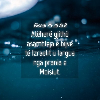 Picture 04 - Eksodi 35:20 ALB - Atëherë gjithë asambleja e bijve të Izraelit - Bible Verse Picture