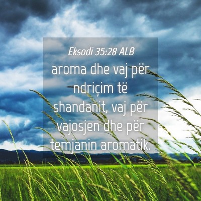 Picture 04 - Eksodi 35:28 ALB - aroma dhe vaj për ndriçim të shandanit, vaj - Bible Verse Picture