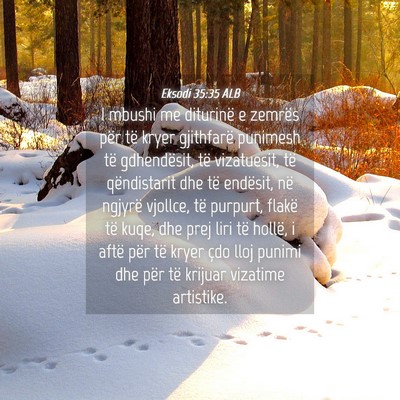 Picture 04 - Eksodi 35:35 ALB - I mbushi me diturinë e zemrës për të kryer - Bible Verse Picture