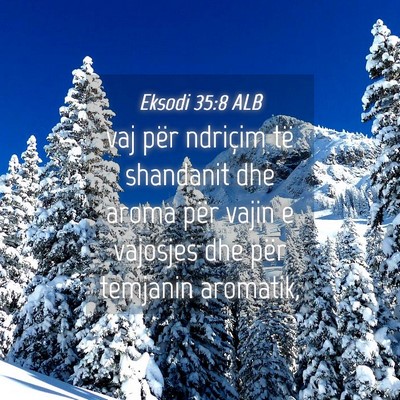 Picture 04 - Eksodi 35:8 ALB - vaj për ndriçim të shandanit dhe aroma për - Bible Verse Picture