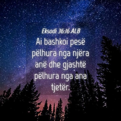 Picture 04 - Eksodi 36:16 ALB - Ai bashkoi pesë pëlhura nga njëra anë dhe - Bible Verse Picture