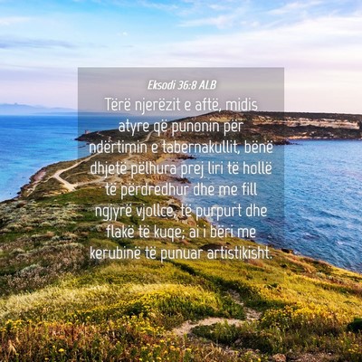 Picture 04 - Eksodi 36:8 ALB - Tërë njerëzit e aftë, midis atyre që punonin - Bible Verse Picture