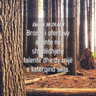 Picture 04 - Eksodi 38:29 ALB - Bronzi i ofertave arrinte në shtatëdhjetë - Bible Verse Picture