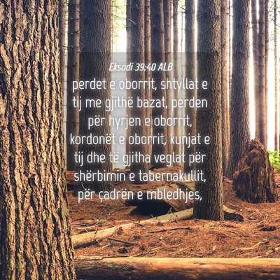 Picture 04 - Eksodi 39:40 ALB - perdet e oborrit, shtyllat e tij me gjithë - Bible Verse Picture