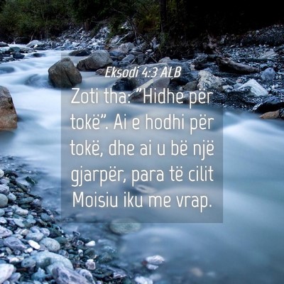 Picture 04 - Eksodi 4:3 ALB - Zoti tha: 