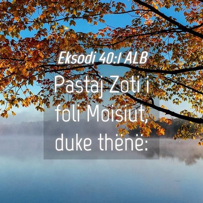 Picture 04 - Eksodi 40:1 ALB - Pastaj Zoti i foli Moisiut, duke - Bible Verse Picture