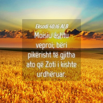 Picture 04 - Eksodi 40:16 ALB - Moisiu ashtu veproi; bëri pikërisht të gjitha - Bible Verse Picture