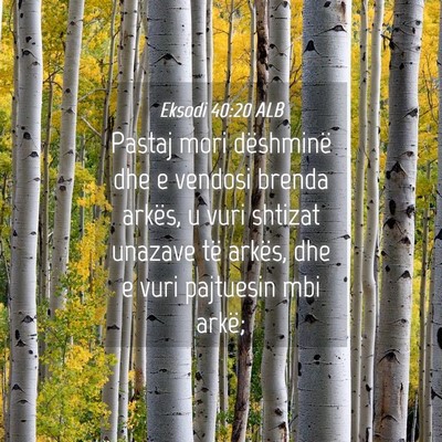 Picture 04 - Eksodi 40:20 ALB - Pastaj mori dëshminë dhe e vendosi brenda - Bible Verse Picture