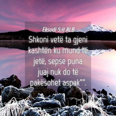 Picture 04 - Eksodi 5:11 ALB - Shkoni vetë ta gjeni kashtën ku mund të jetë, - Bible Verse Picture