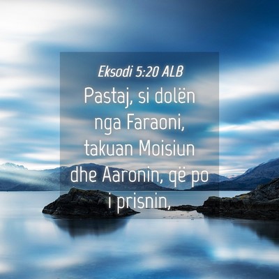 Picture 04 - Eksodi 5:20 ALB - Pastaj, si dolën nga Faraoni, takuan Moisiun dhe - Bible Verse Picture