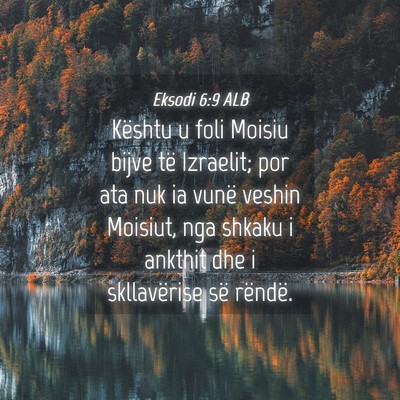 Picture 04 - Eksodi 6:9 ALB - Kështu u foli Moisiu bijve të Izraelit; por ata - Bible Verse Picture