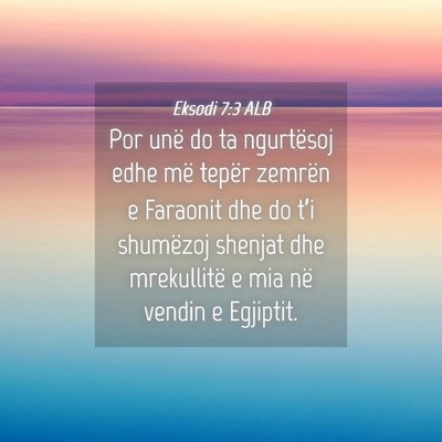 Picture 04 - Eksodi 7:3 ALB - Por unë do ta ngurtësoj edhe më tepër zemrën - Bible Verse Picture