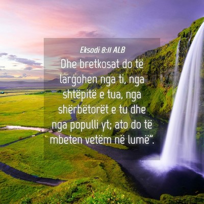 Picture 04 - Eksodi 8:11 ALB - Dhe bretkosat do të largohen nga ti, nga - Bible Verse Picture