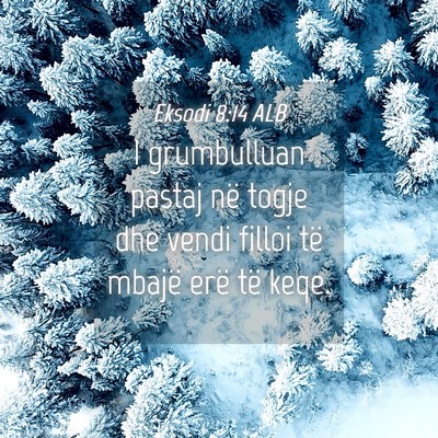 Picture 04 - Eksodi 8:14 ALB - I grumbulluan pastaj në togje dhe vendi filloi - Bible Verse Picture