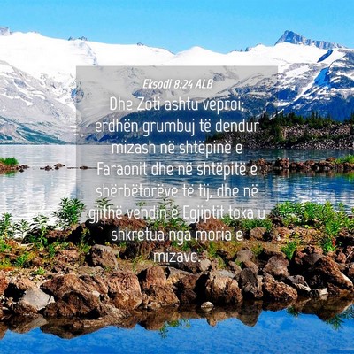 Picture 04 - Eksodi 8:24 ALB - Dhe Zoti ashtu veproi; erdhën grumbuj të dendur - Bible Verse Picture