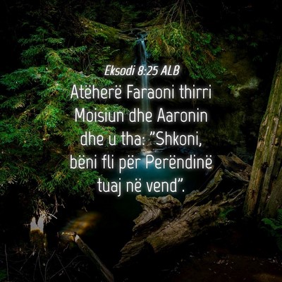 Picture 04 - Eksodi 8:25 ALB - Atëherë Faraoni thirri Moisiun dhe Aaronin dhe - Bible Verse Picture