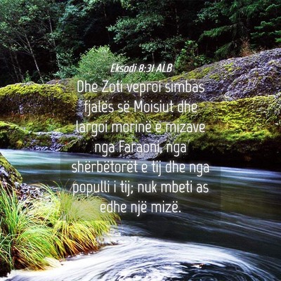 Picture 04 - Eksodi 8:31 ALB - Dhe Zoti veproi simbas fjalës së Moisiut dhe - Bible Verse Picture