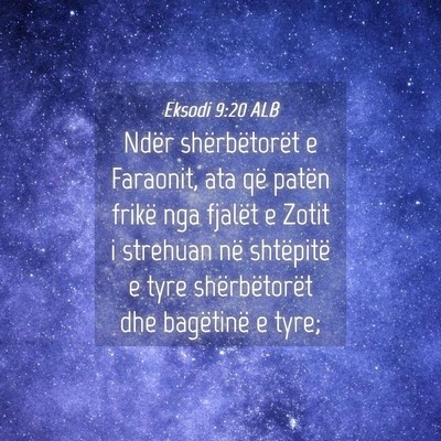 Picture 04 - Eksodi 9:20 ALB - Ndër shërbëtorët e Faraonit, ata që patën - Bible Verse Picture