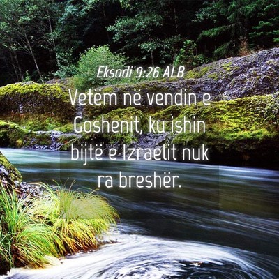 Picture 04 - Eksodi 9:26 ALB - Vetëm në vendin e Goshenit, ku ishin bijtë e - Bible Verse Picture