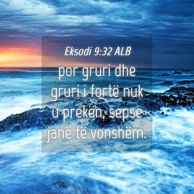 Picture 04 - Eksodi 9:32 ALB - por gruri dhe gruri i fortë nuk u prekën, sepse - Bible Verse Picture