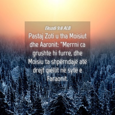 Picture 04 - Eksodi 9:8 ALB - Pastaj Zoti u tha Moisiut dhe Aaronit: 