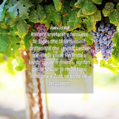 Picture 04 - Esdra 1:5 ALB - Atëherë kryetarët e familjeve të Judës dhe - Bible Verse Picture